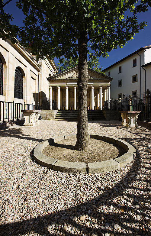 The latest Oak Tree of Guernica
